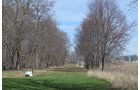 Property photo 141 - REAL ESTATE & PERSONAL PROPERTY AUCTION, 140 Acres offered in 8 Tracts or Combinations in Steuben County